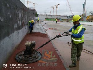 永安大道綠道修復項目